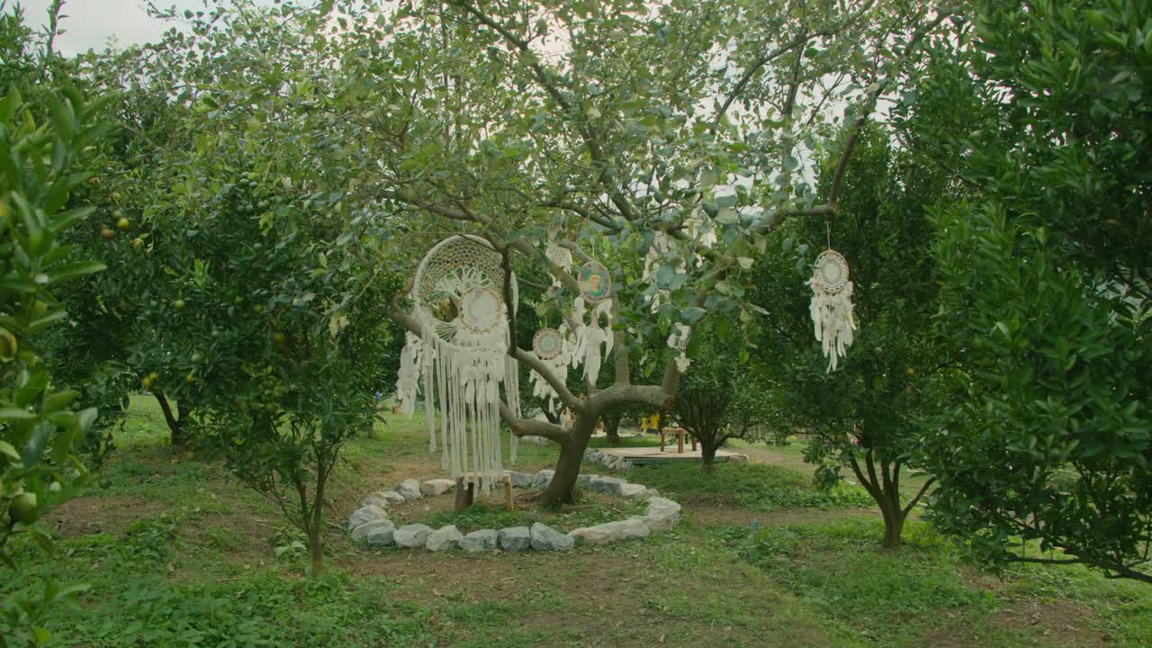 Dream Catchers Hanging from a Tree in a Garden