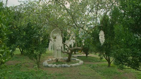 dream catchers hanging from a tree in a garden