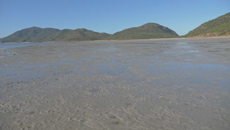 muddy coastline at the western end of shaw island during low tide in whitsundays, queensland, australia