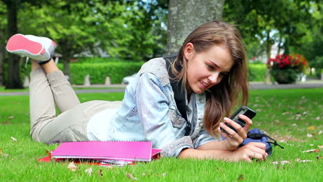 happy student lying on the grass sending a text