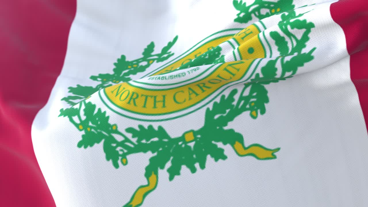 bandera de la ciudad de raleigh, ciudad de estados unidos o estados unidos de américa - bucle