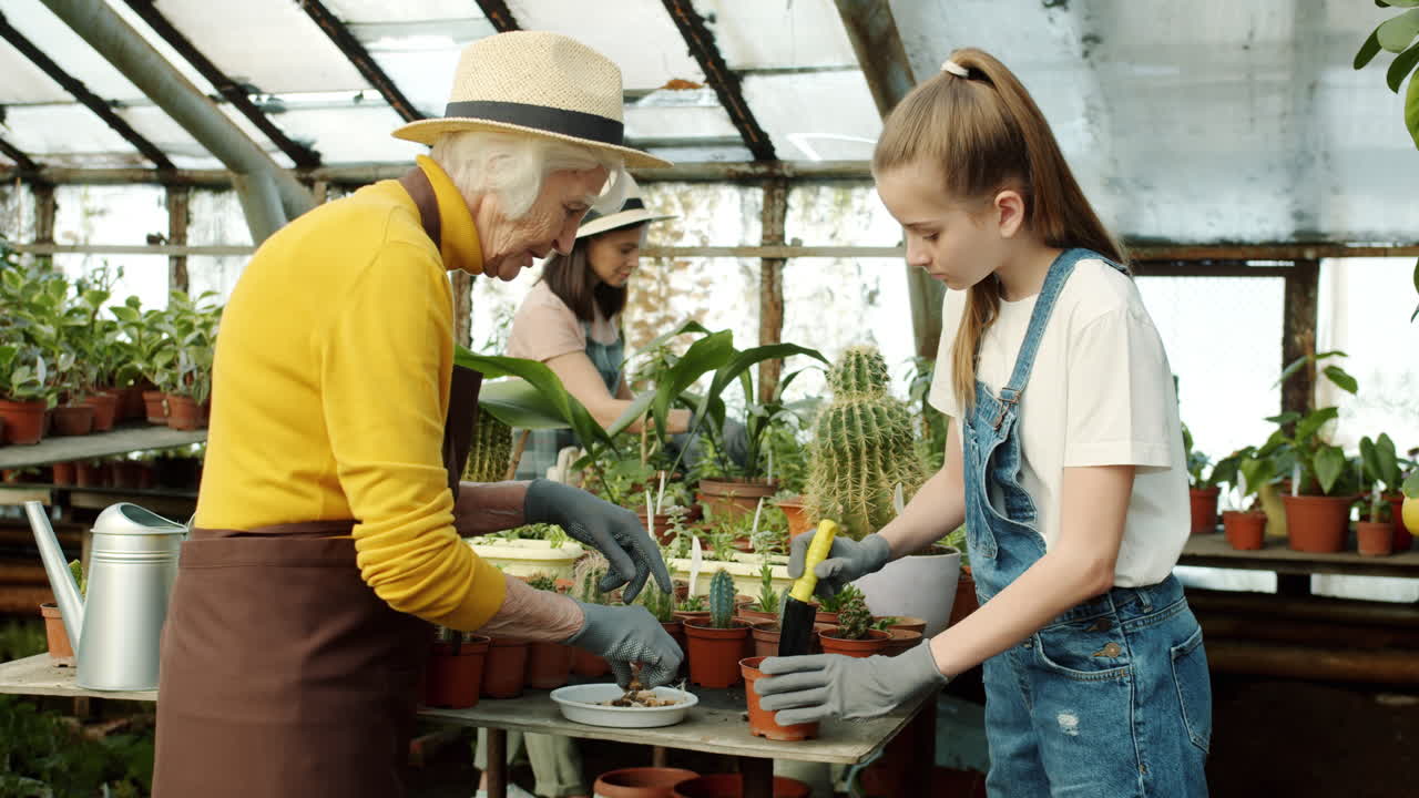Grandmother and Granddaughter Gardening in Greenhouse