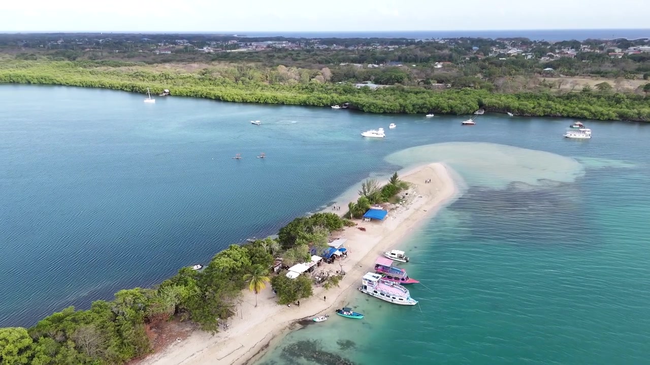 Pemandangan udara dari drone perahu wisata yang berlabuh di gosong pasir No Man's Land. Laguna tropis berwarna pirus dan pantai pasir putih dikelilingi oleh hutan bakau di Pulau Tobago, Trinidad dan Tobago.