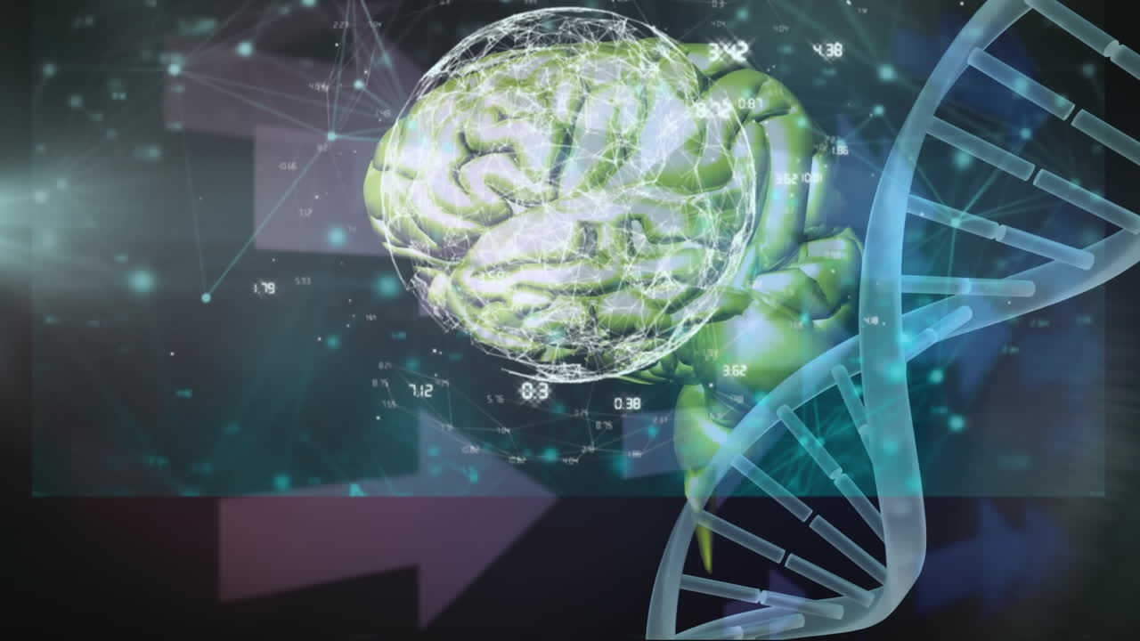 animación de la red de conexiones sobre la cadena de adn y el cerebro digital en fondo negro.