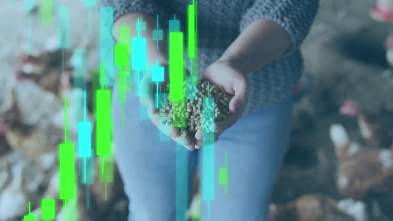 animación del procesamiento de datos financieros sobre mujeres caucásicas alimentando pollos