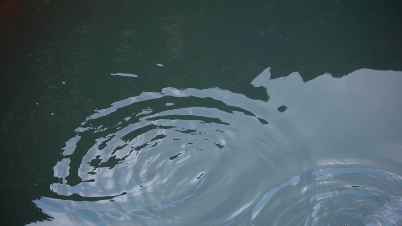 하늘을 잘 반영한 개구리