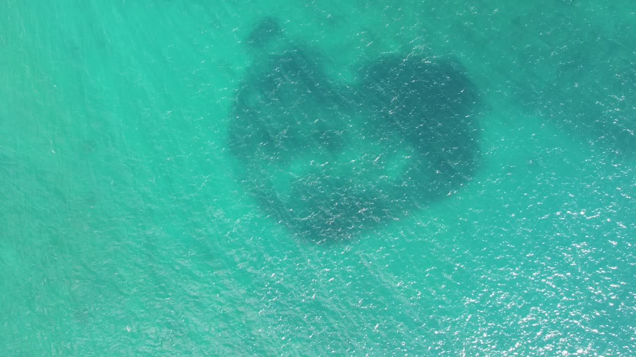 video aéreo de arriba hacia abajo de una bola de cebo o un banco de peces refugiándose en aguas poco profundas y claras de color turquesa de koloa aterrizando en el arrecife, kauai, hawai, costa del pacífico de ee.