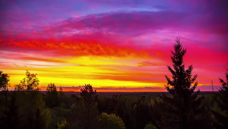 Zeitraffer:-Orangefarbener-Und-Violetter-Sonnenuntergang,-Der-Seinen-Glanz-über-Einen-Ruhigen-Nadelwald-Wirft