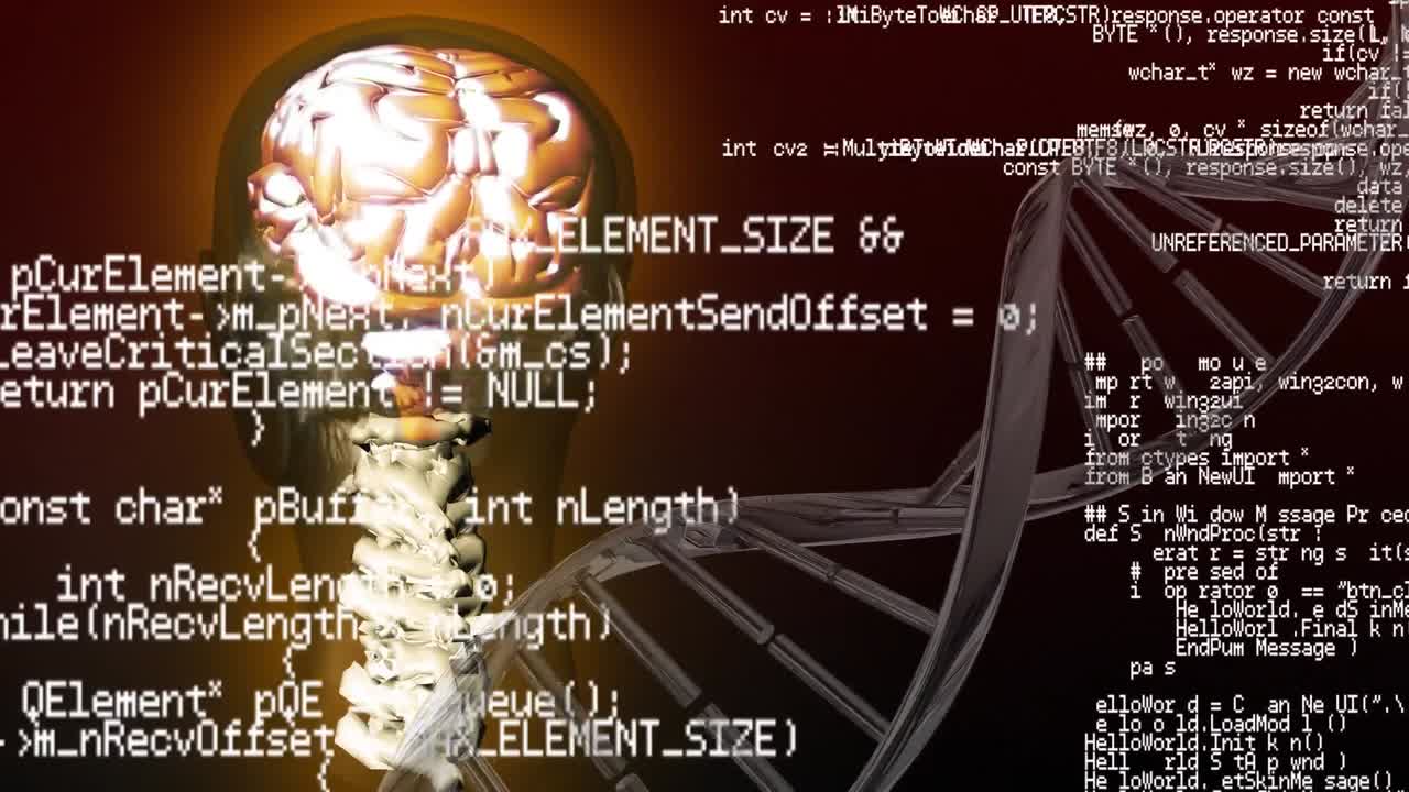 인간 해부학 및 인터페이스 코드