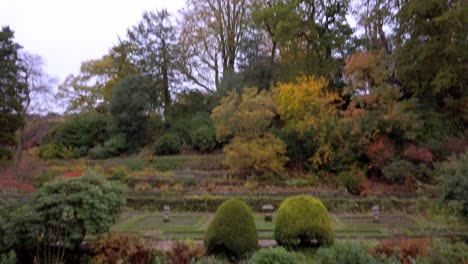 tilt shot of autumnal trees over japanese garden by a river