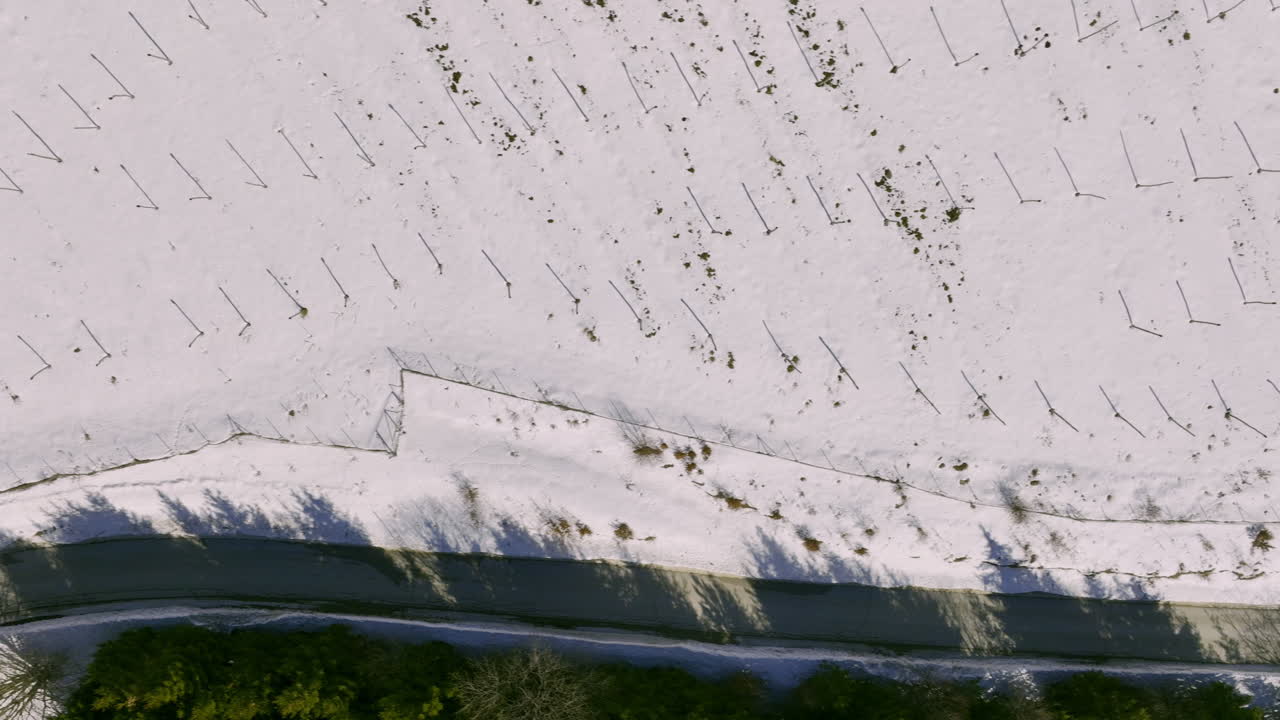 Aerial View of a Winter Landscape with Snowy Fields, Roads, and Green Forests