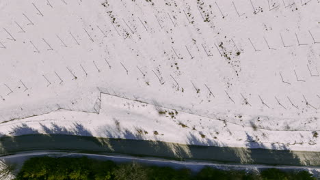 aerial view of a winter landscape with snowy fields, roads, and green forests