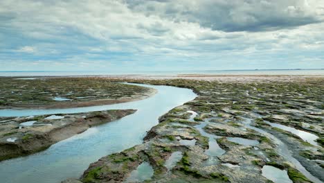 pisos de barro agrietados en un pantano salado