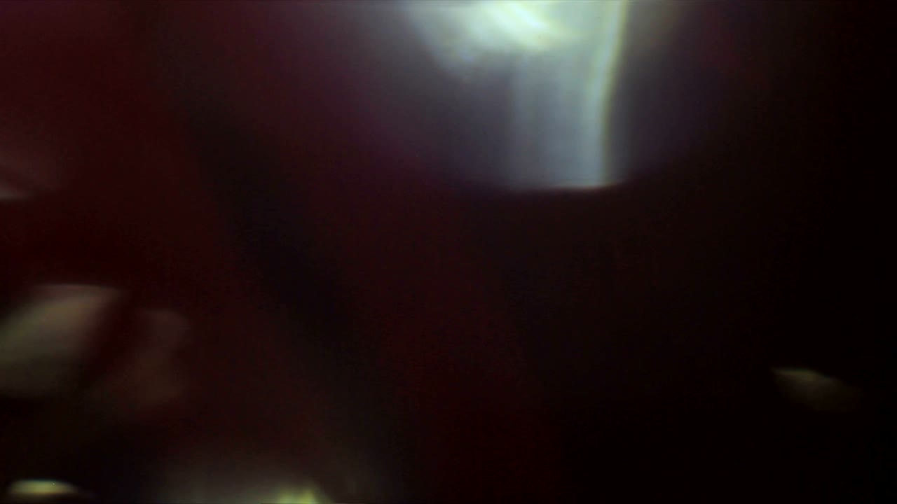 Light Leaks Element 287