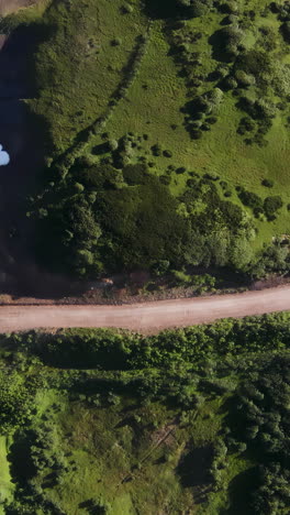 aerial view of a dirt road winding through a lush green landscape