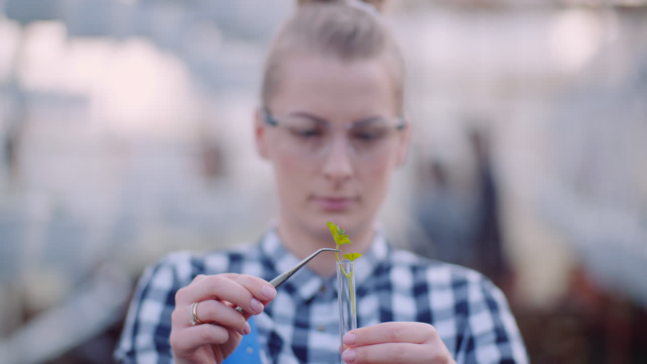 Researcher Checking Plant Conditions in Greenhouse