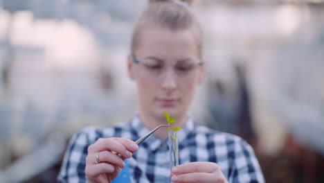 investigador comprobando las condiciones de las plantas en el invernadero