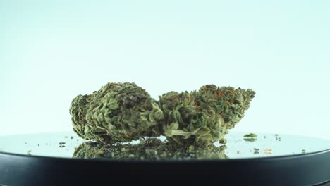 Nahaufnahme-Einer-Marihuana-Sativa-Super-Lemon-Dunst-Blume,-Grünes-Unkraut,-Lila-Kush,-Auf-Einem-Reflektierenden-360-Grad-Drehständer,-4k-Video-In-Zeitlupe