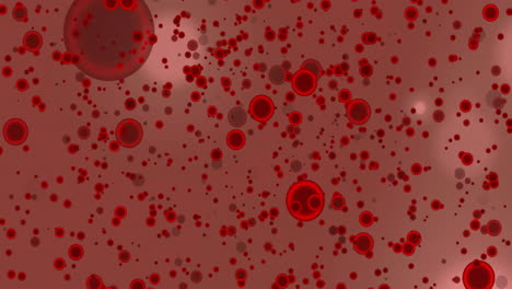 animación de células sanguíneas y manchas de luz en fondo rosado