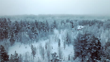 beautiful winter landscape in lapland countryside