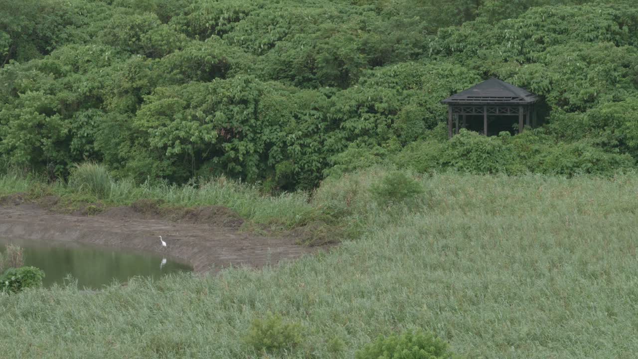 Gazebo amidst lush greenery in Guandu Nature Park with a heron by the water, tranquil and serene
