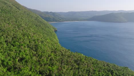 Tropical-Forest-In-The-Serene-Beach-Of-Playa-El-Valle-In-Samana,-Dominican-Republic