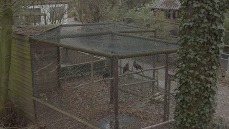 vista de ángulo alto de una gran jaula de pájaros en un zoológico vacío durante el bloqueo de covid