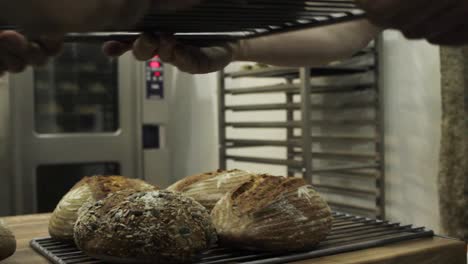 male baker arranging bread for sale in shop
