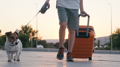 happy boy with an orange suitcase and dog jack russell walking along terminal of airport in lens flares sunset in summer in slow motion. family goes on trip. travel. tourism. chilghood