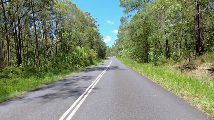 Rear facing driving point of view POV of a deserted Queensland country road flanked by tall gum trees - ideal for interior car scene green screen replacement