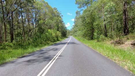 rear facing driving point of view pov of a deserted queensland country road flanked by tall gum trees - ideal for interior car scene green screen replacement