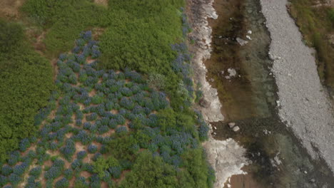 Aerial-shot-of-landscape-of-Westfjords,-Iceland