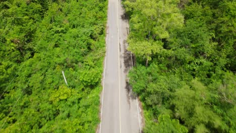 aerial footage following the road going kaeng krachan national park, unesco world heritage site, thailand, revealing a paved road, electric posts, powerlines and just lovely green plants and trees