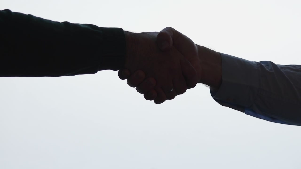 Silhouetted Handshake Between Two Professionals, Studio Backlight, Suit Sleeves Visible, Firm Grip,