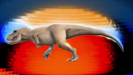 el dinosaurio t-rex enojado corre en una animación sin costuras en bucle. reptil en fondo aislado con canal alfa. animación para fondos históricos, naturales y animales.
