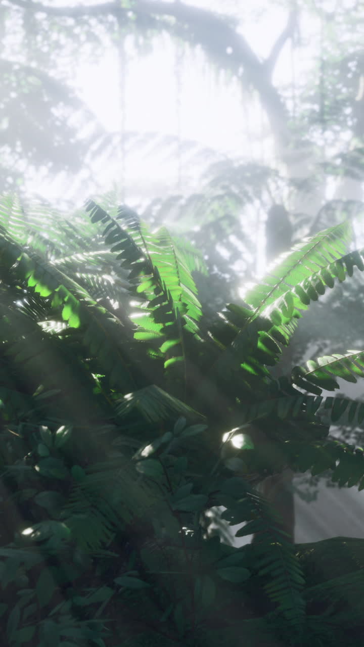 Mysterious sunlight filtering through lush tropical rainforest foliage