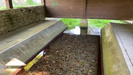 clear water in old french wash house then showing greenery growing the water