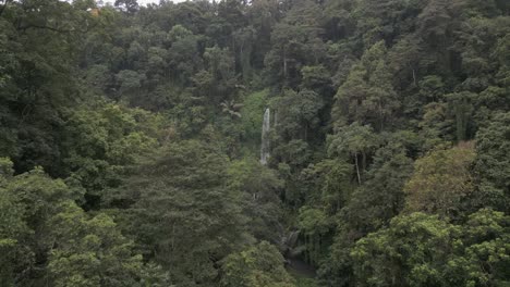 el denso bosque verde de la selva vuela hacia la alta cascada lombok de caída libre