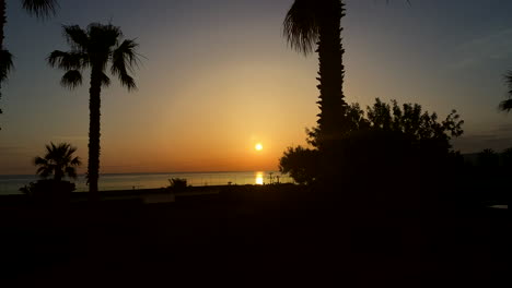 Sonnenaufgang-Am-Horizont-Zwischen-Wunderschönen-Palmen-Am-Frühen-Morgen-Auf-Kreta,-Griechenland