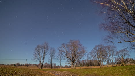 Timelapse-De-Estrellas-Gira-Sobre-Un-Campo-De-árboles-Y-Hierba