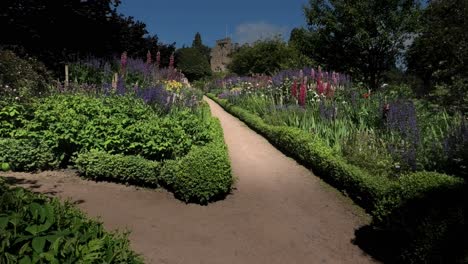 Frontera-De-Junio-En-Los-Jardines-Del-Castillo-De-Crathes-Panorámica-Lenta-Hacia-Arriba