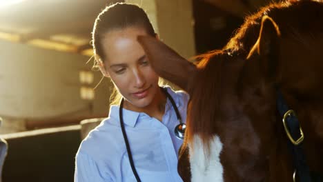 Tierarzt-Untersucht-Ein-Pferd-4k