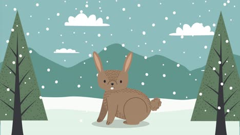 conejo lindo en la escena del paisaje de nieve