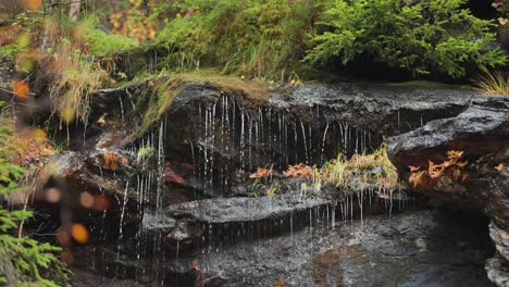 Regenwasser-Tropft-Langsam-über-Die-Moosbedeckten-Felsen