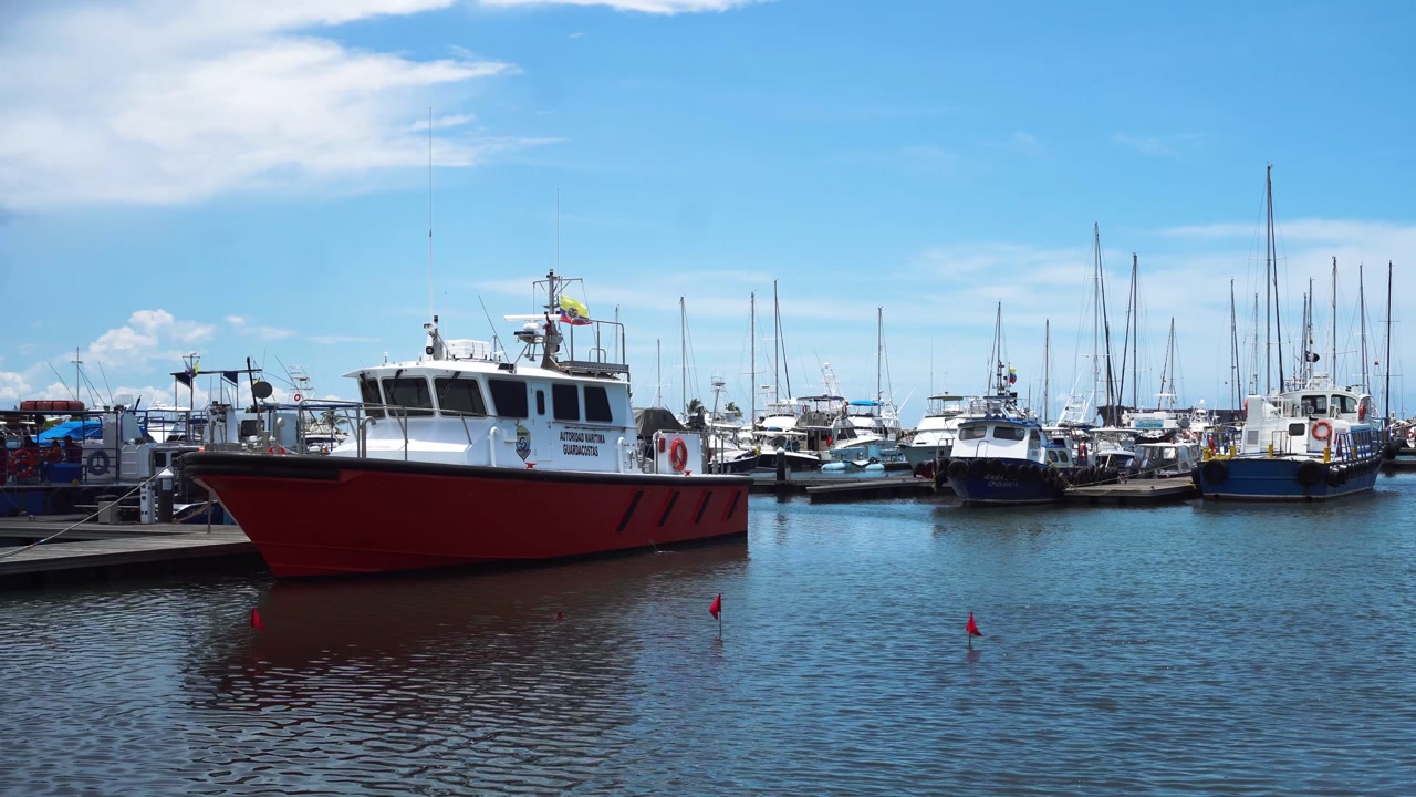 Quiet Harbor with Small and Medium Boats Docked