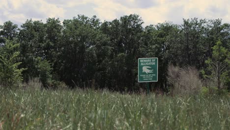 Señal-De-Advertencia-De-Caimán-4k-Precaución-De-Estanque-De-Los-Everglades-De-Florida