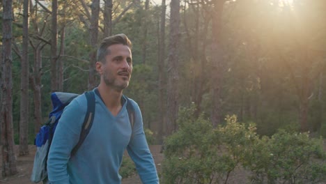 excursionista masculino caminando por el bosque