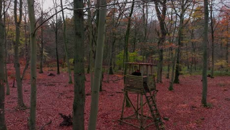 Ein-Jäger-Sitzt-Auf-Einem-Jagdstand,-Setzt-Sein-Gewehr-Mit-Schalldämpfer-Auf-Und-Schießt