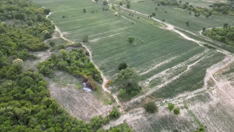 Imágenes-Aéreas-De-Drones-De-Avance-Panorámico-Hacia-Arriba-Con-Puesta-De-Sol-En-La-Provincia-De-Lopburi,-Tailandia