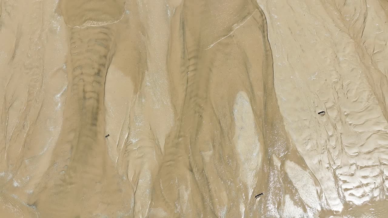 모래를 따라 직접적인 공중 추적